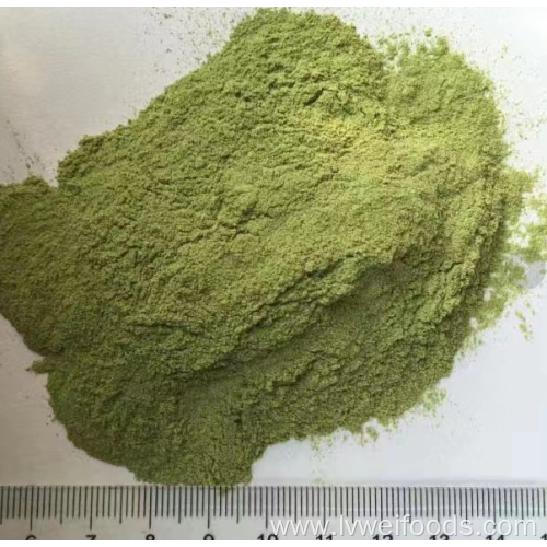 High quality dehydrated scallion powder